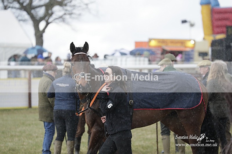 PtP 180323 1045 - Shelfield Park Races with Croome & West Warwickshire Hunt  18/03/23