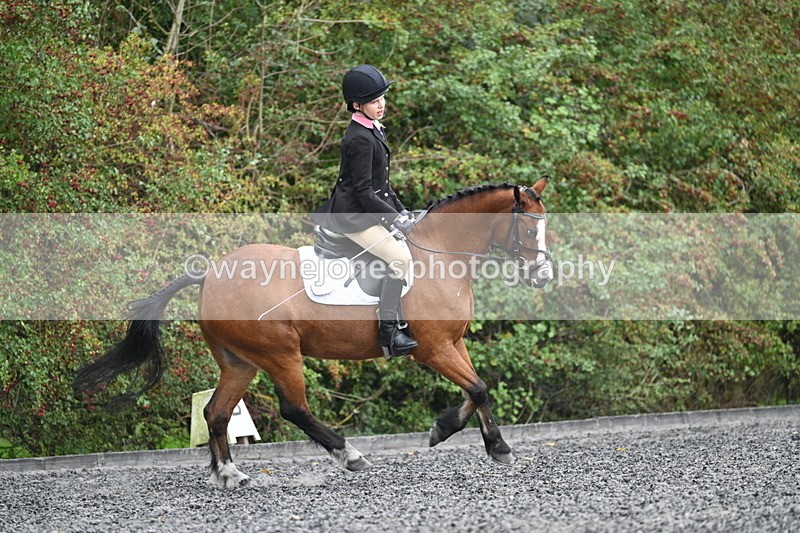 WJ7_4015 - Time 11:04 to 11:38