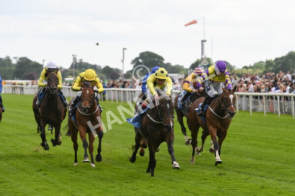 yr11062022r6-19 - Race 6 4.15pm Reg Griffin Appreciation EBFstallions.com Maiden Stakes
