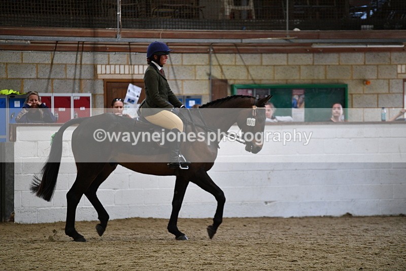 WJ5_7980 - Class 13 Ridden Part Breed