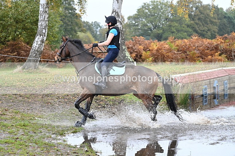 WJ7_0912 - 80cm Cam 2 Water Time 11:08 to 11:28