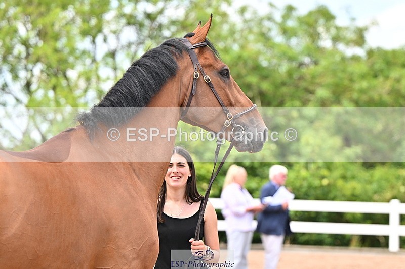 240718A-105323-01934 - Trot Up 2pm to 3pm - This folder is not in time order