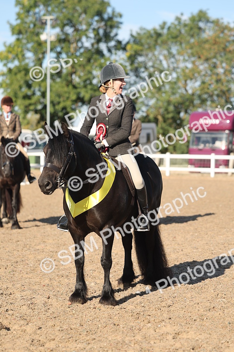 SBM_11109 - Class 302 - Ridden M&M Large Breeds