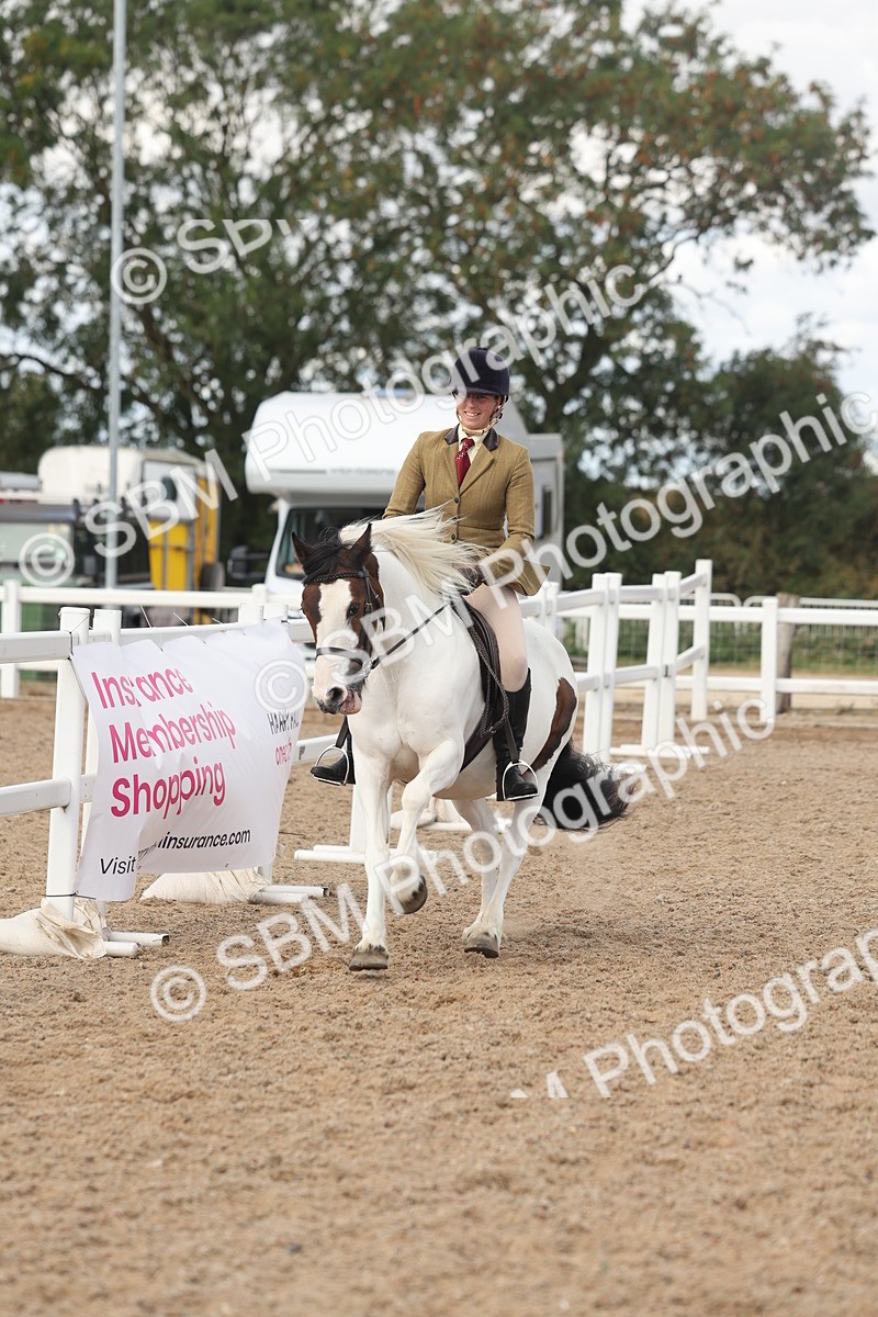 SBM_14660 - Class 307 - Ridden Coloured Pony