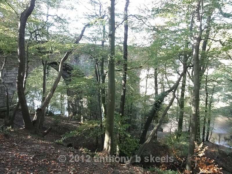 048 The scale of it astounding. - Third Saturday Walks Collection Two.