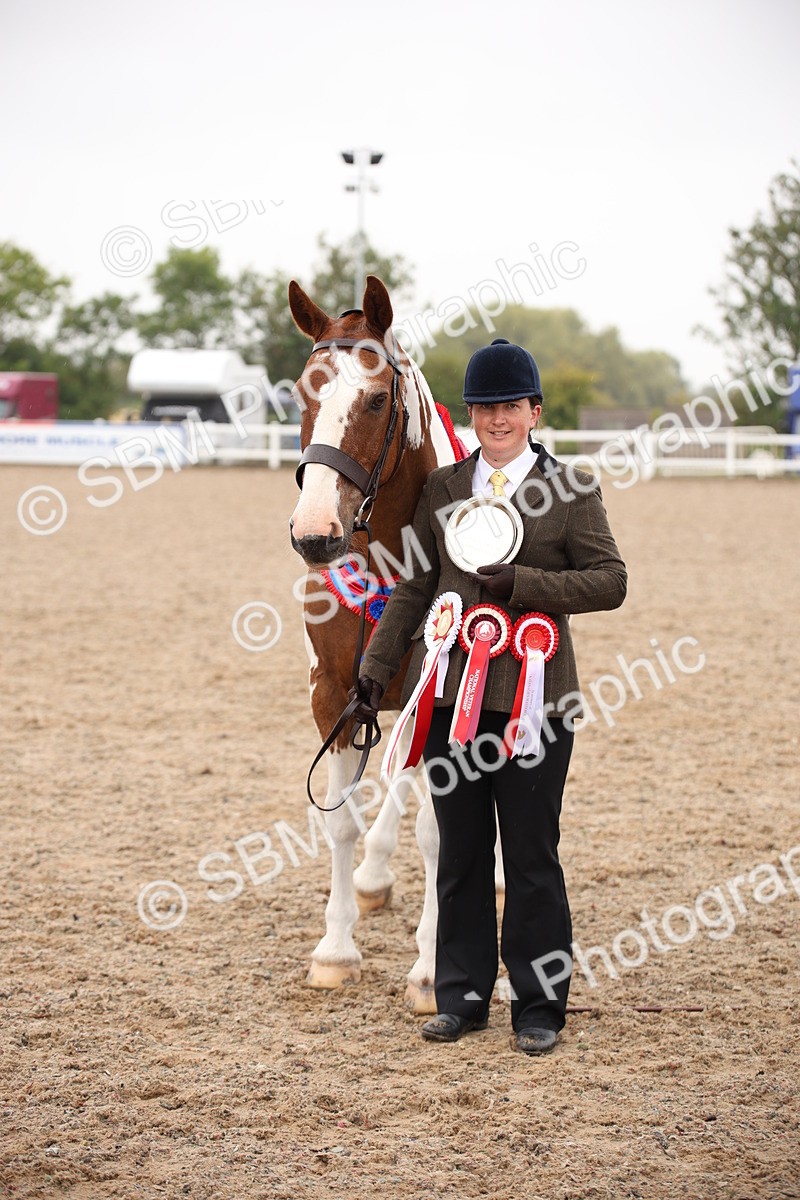 SBM_20143 - Class 702 - IH  Show Horse Pony