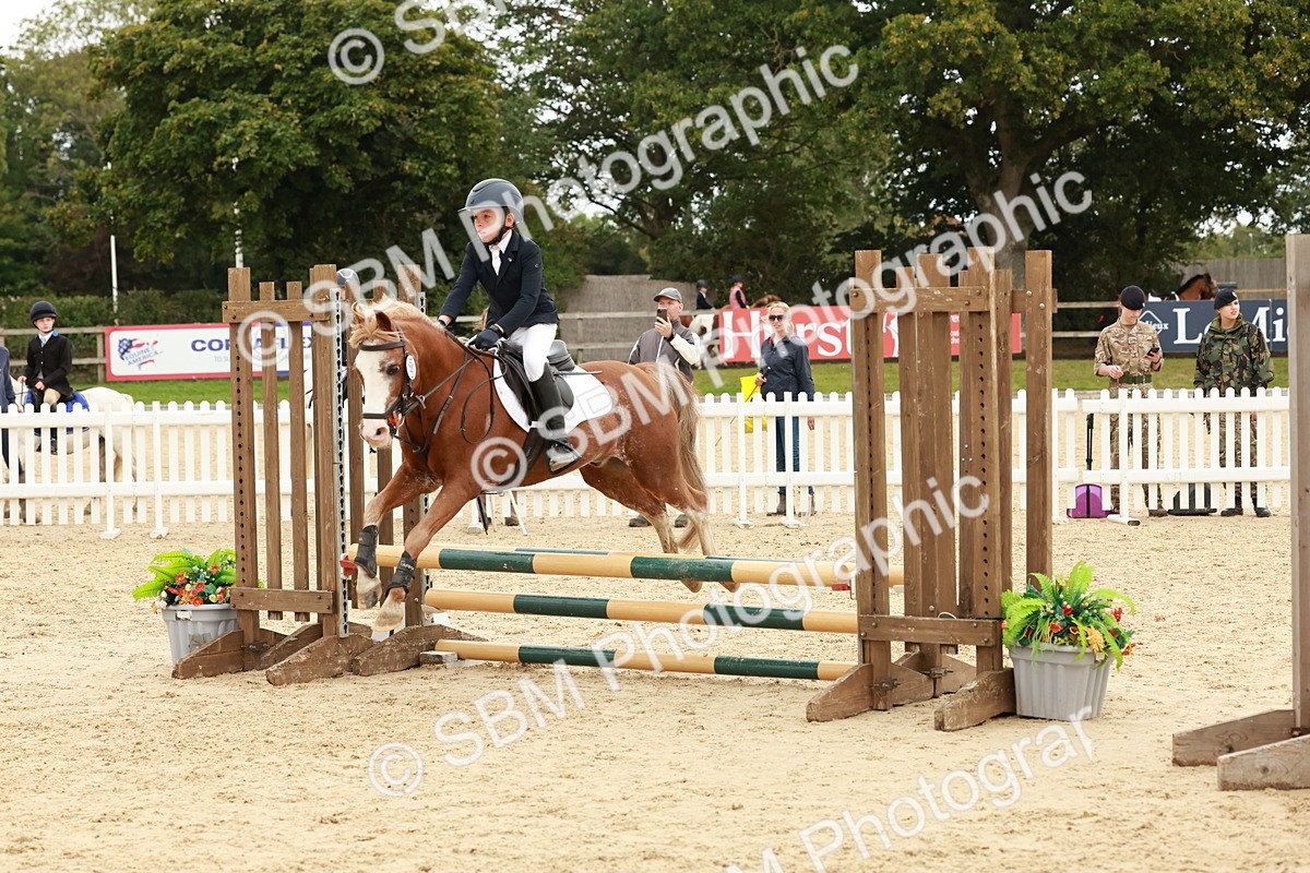 SBM_65295 - Supreme Championship 50cm & 55cm