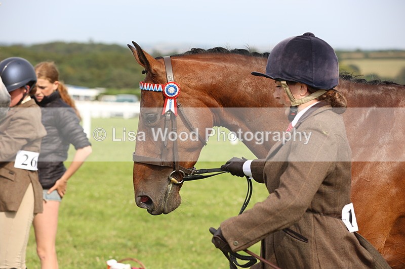 JPP_4320 - Class 25: Working Show Horse
