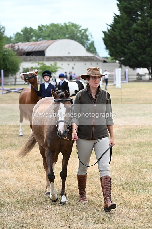 WJ7_1410 - Class 4 Prettiest Mare up to 14.2hh in hand