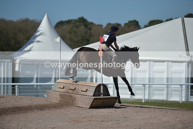 NGP_8184 - XC Time 13:29 to 13:34