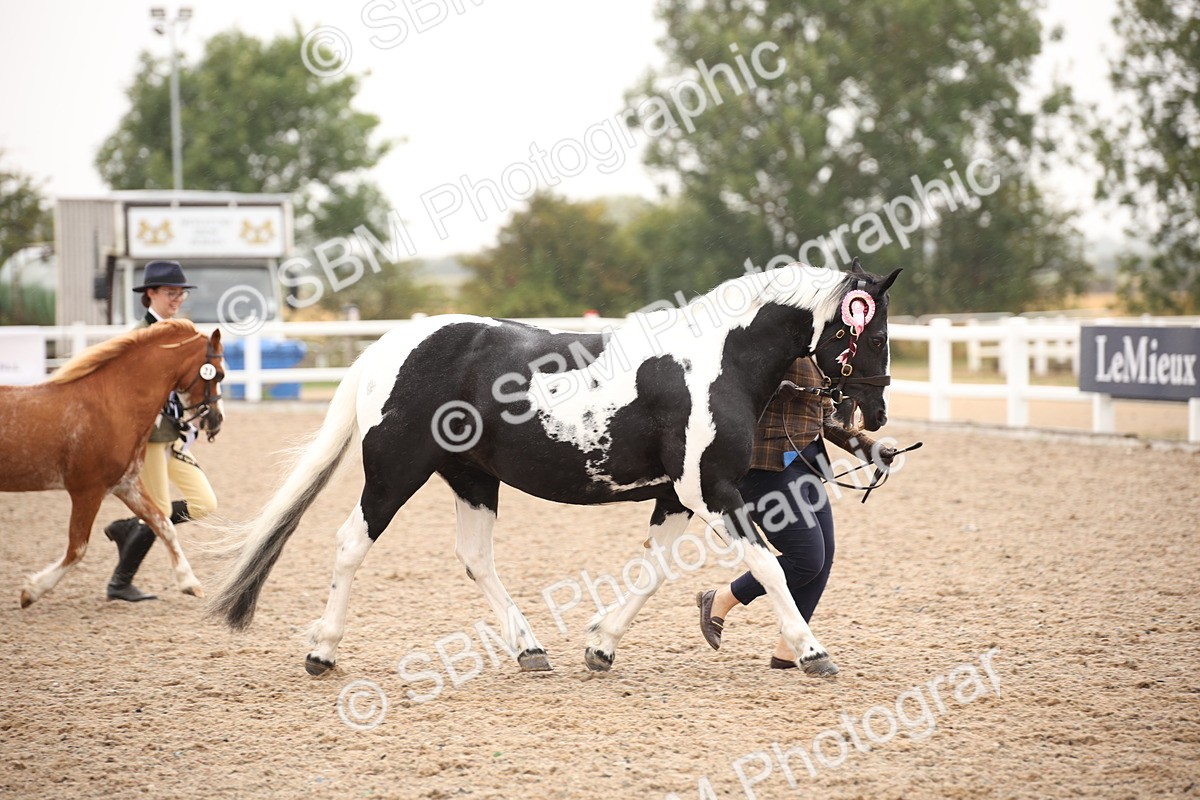 SBM_20237 - Class 703 - IH  Coloured