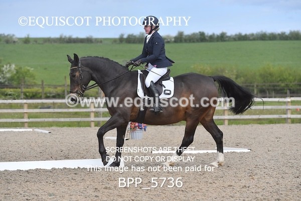BPP_5736 - 25 V HAMILTON