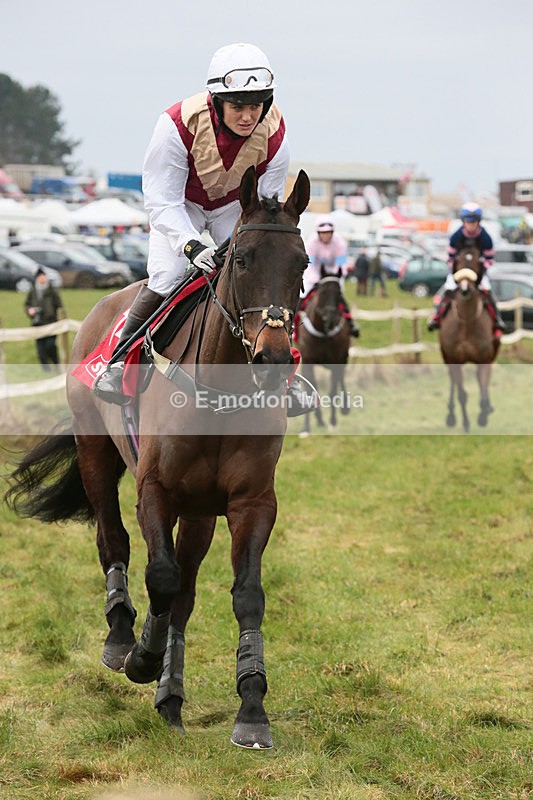 PtP 060119 88 - Larkhill Racing Club - Point-to-Point- 06/01/2019