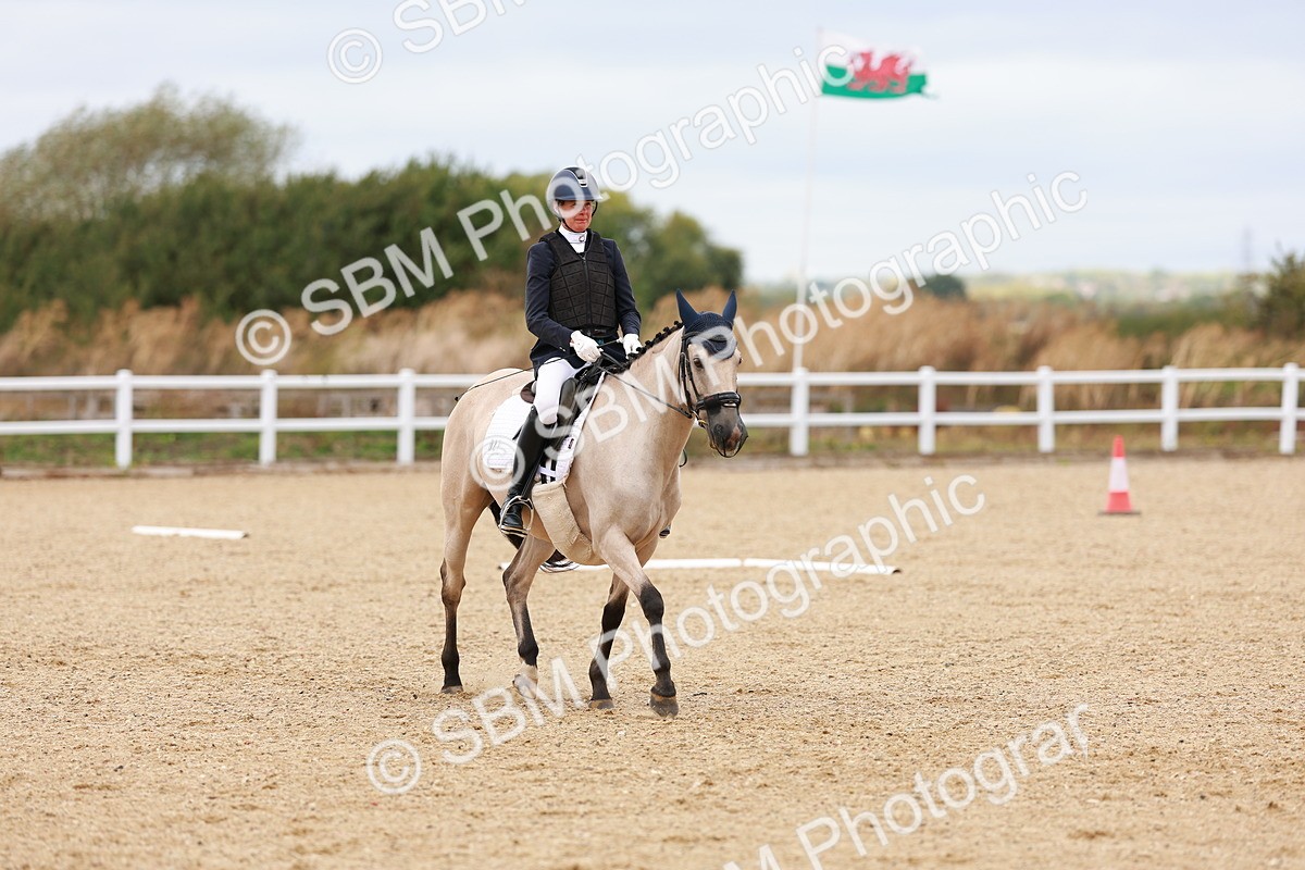 SBM_001254 - Class 3 - Prelim 1