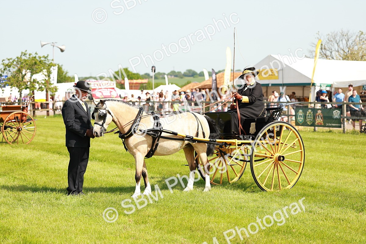 SBM_02608 - Class 2-4 - HOYS Private Driving