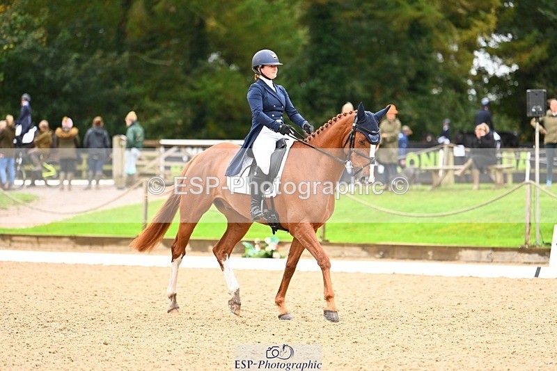 231021-115612-15021 - 344-GLOBAL.EXOTIC-Jemima.Stratton-DR