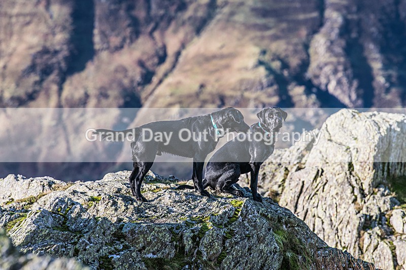 Wainwrights-4 - Carol Morgan Winter Wainwrights Round Friday 3rd January 2025