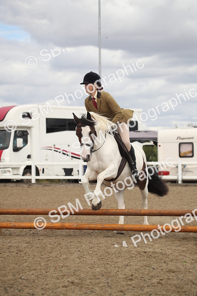 SBM_15214 - Class 506a - Working Veteran - 50cm (15-19)