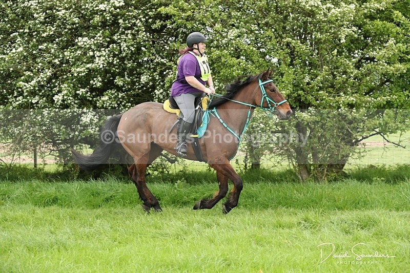 SPXX5499 - 176