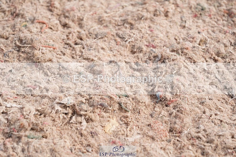 250511-093402-12957 - Cls 30 Snr British Novice and 90cm Open