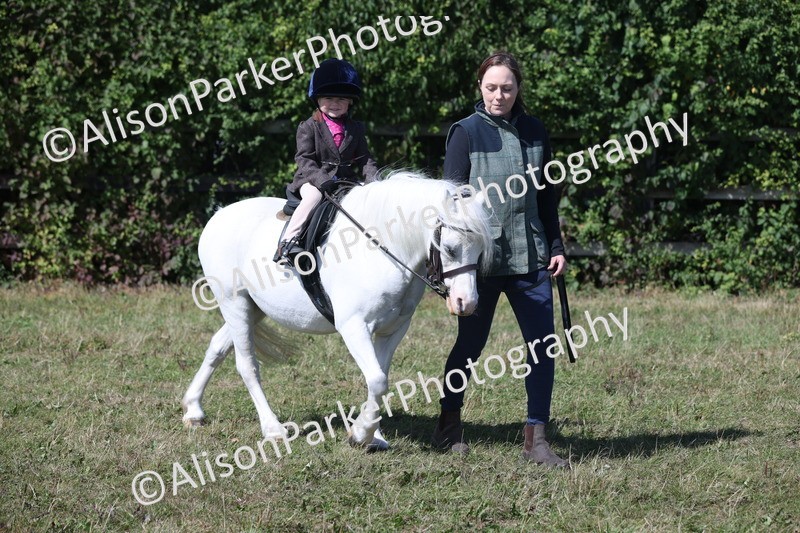 20250831-3169 - Class 24 - Absolute Beginners Pony