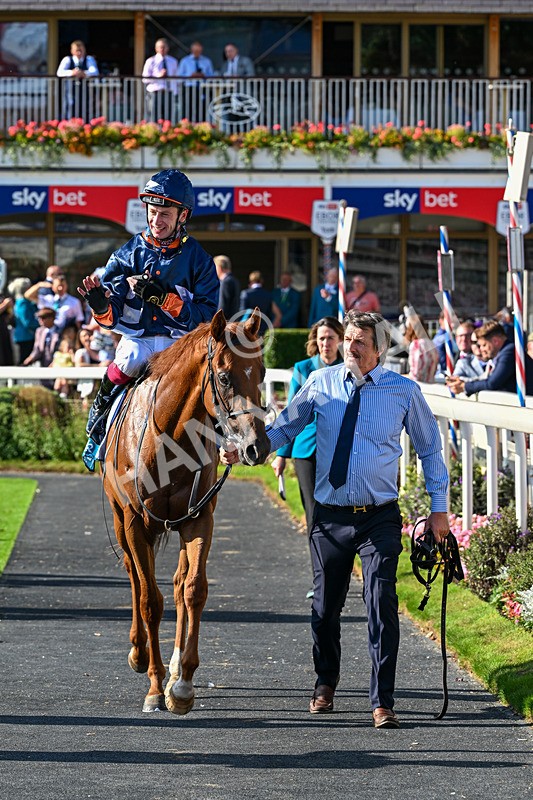220826-Race 6-Sale Shark-1658 - Race 6 16.45pm Julia Graves Roses Stakes