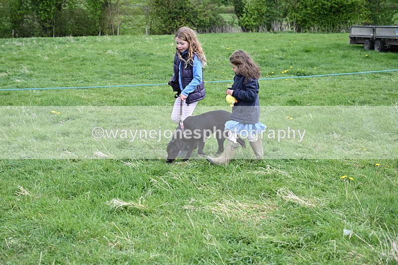 WJ6_8101 - Class 2 Best Pedigree