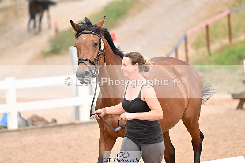250716-150846-01691 - Trot Up 2.30 to 3.30