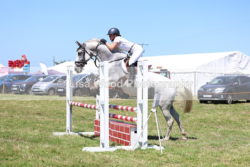 3E7A5624 - Class 9: Senior British Novice/90cm open