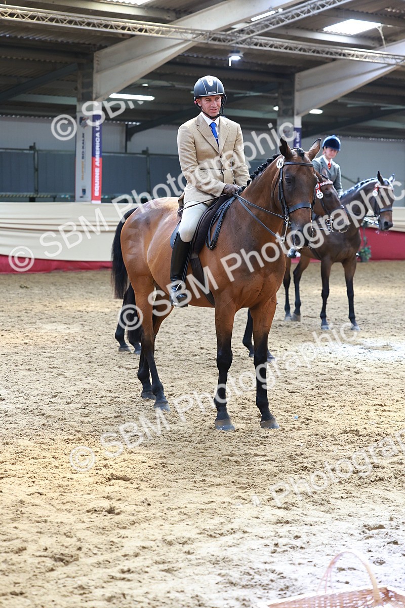 SBM_14977 - Class 108 - Ridden Retired Racehorse