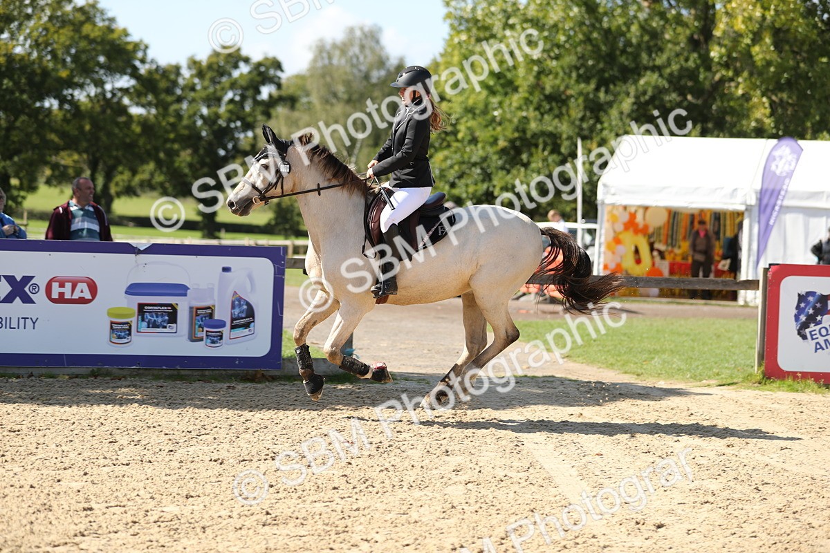 SBM_04840 - J28 - Senior Horse & Pony 60cm Championships