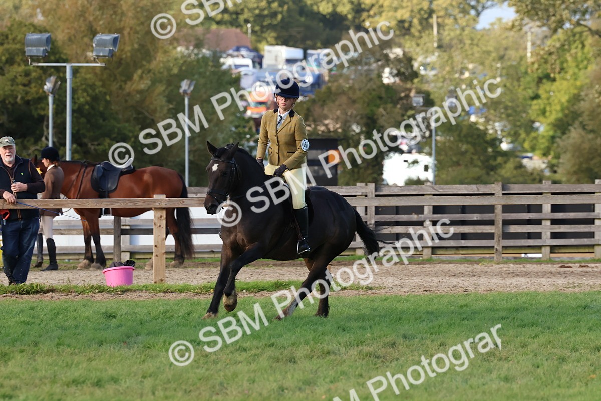 SBM_52587 - S13 - Pony Club Pony