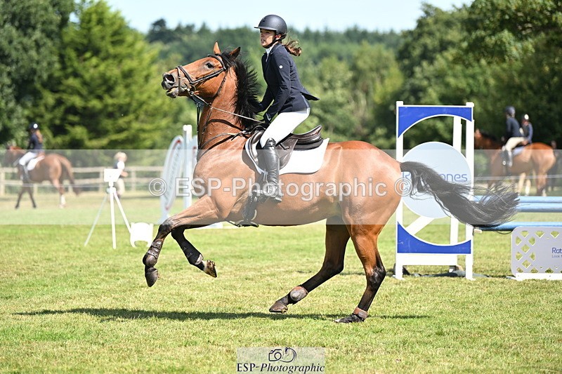 250704A-103736-07016 - Cls 25 Snr British Novice and 90cm