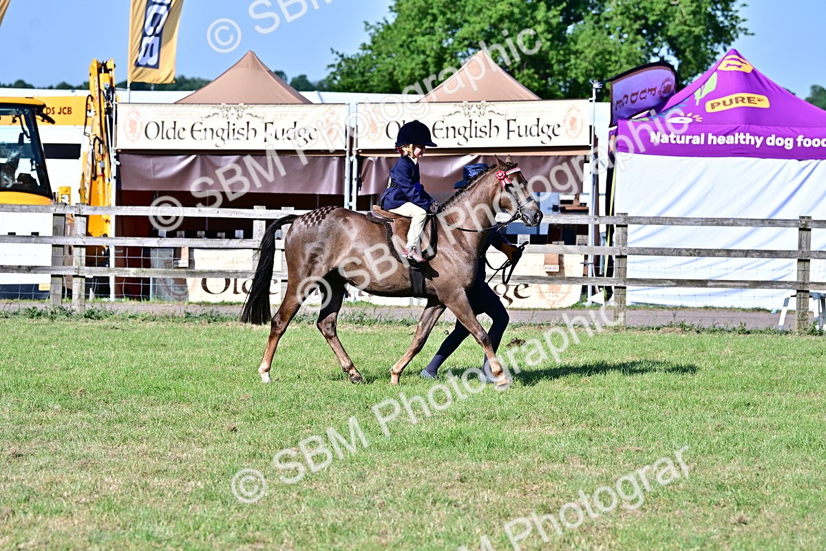 SBM_19837 - Class 103 - 105 - TSR Ridden Amateur of the Year Plaited Ponies