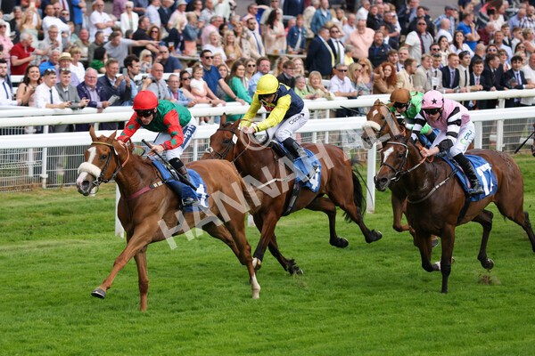 yr10062022r5-21 - Race 5 4.05pm Irish Thoroughbred Marketing Stakes