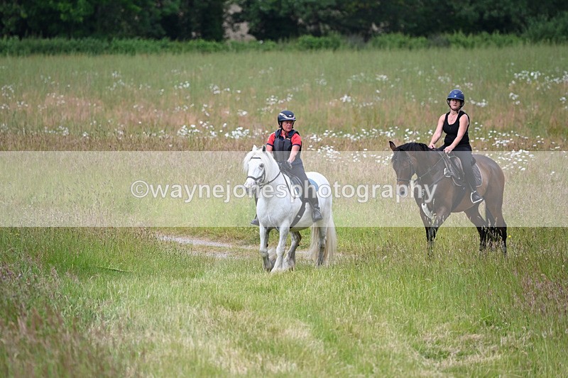 WJ6_8026 - Camera 1 Gallops