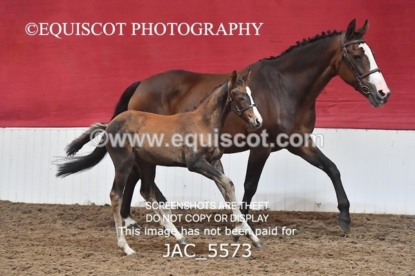 JAC_5573 - 13 Zi Real McCoy