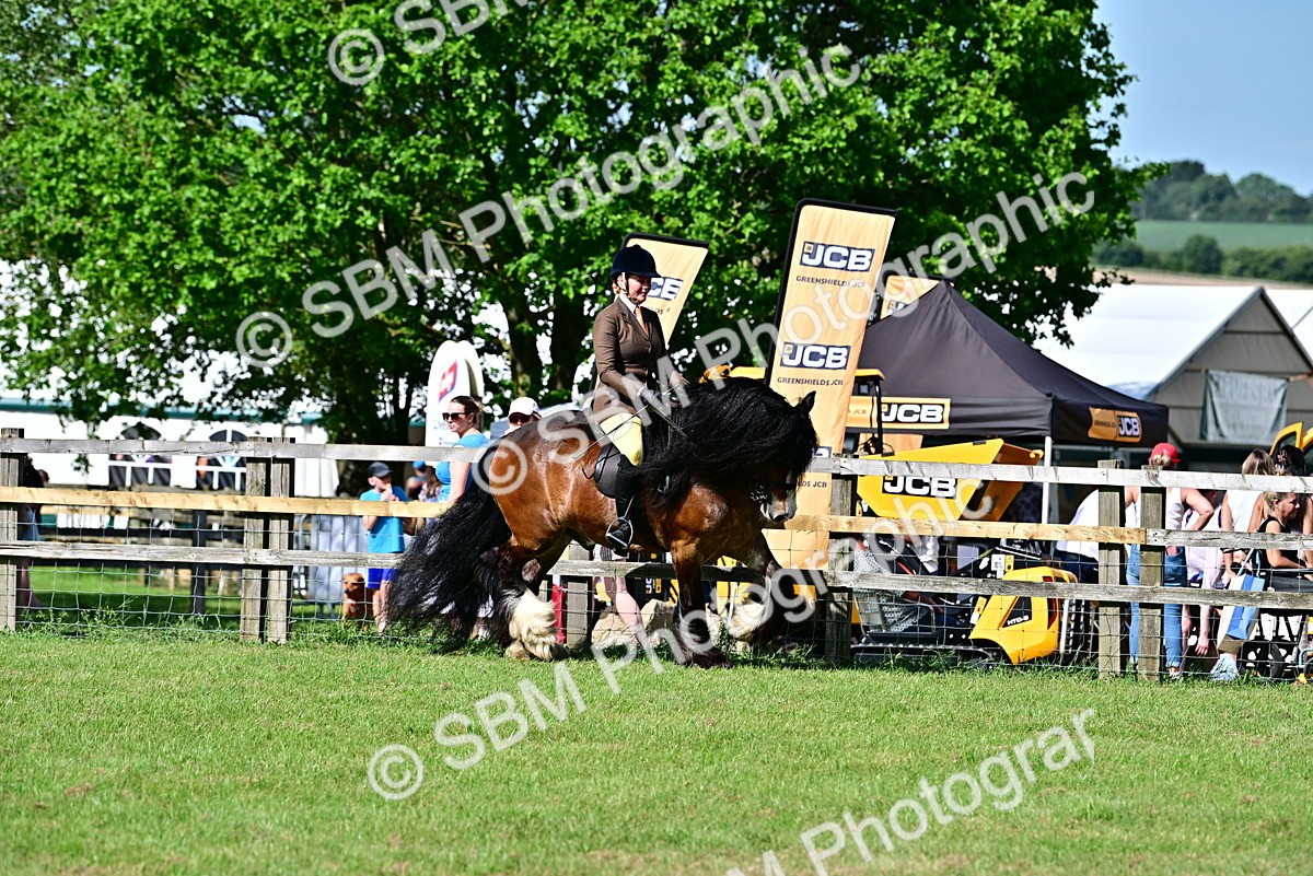SBM_09357 - Class 63-65 - Traditional Gypsy Cobs In Hand & Ridden
