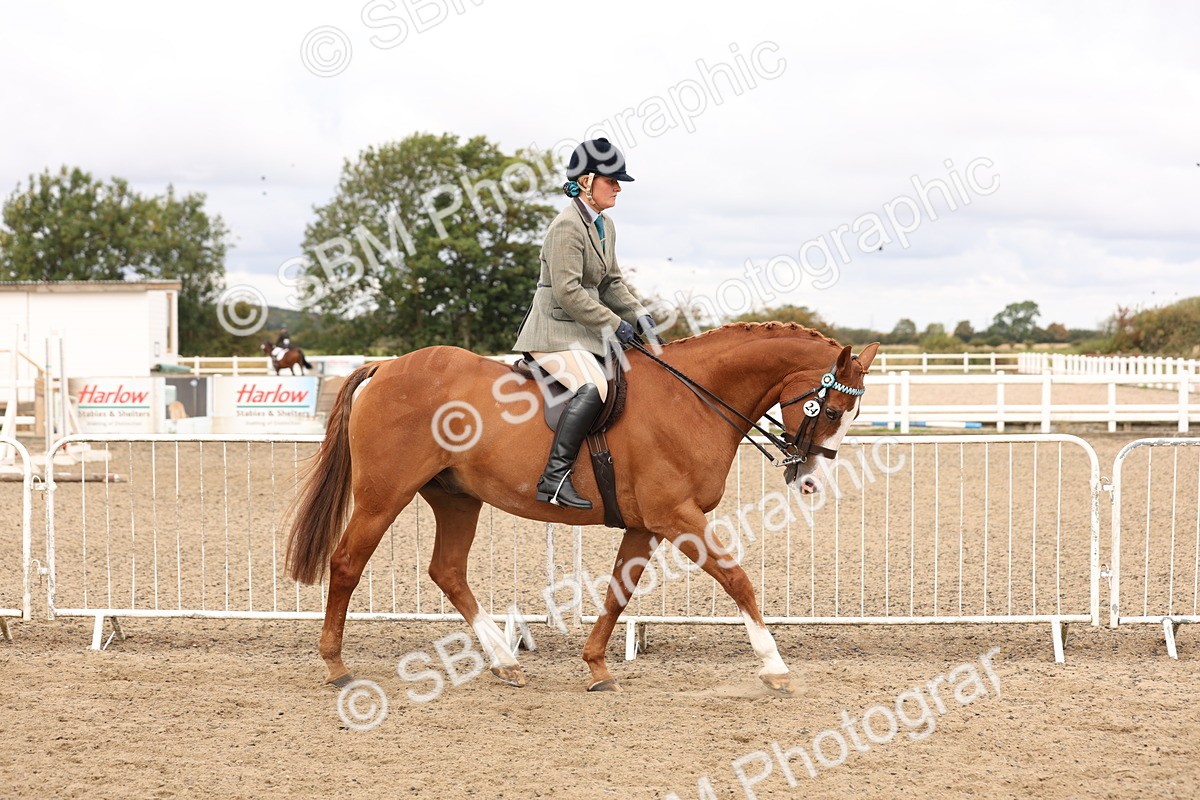 SBM_02793 - Class 53 - Ridden Competition Horse/Pony