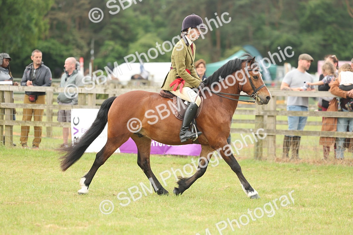 SBM_07285 - Class 76-77 - Ridden M&M Welsh Ponies