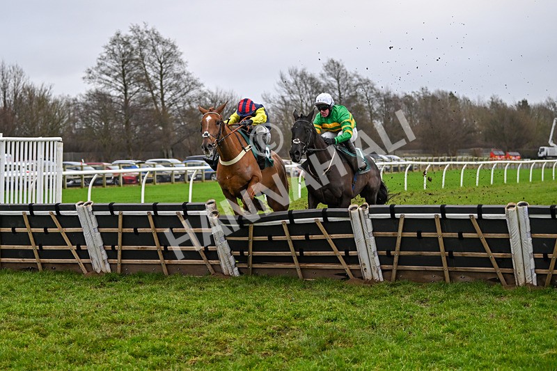 110124-Race 4-Hasthing-2585 - Race 4