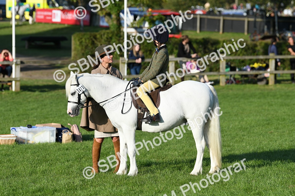SBM_54098 - S23 - 1st Ridden Mountain & Moorland Pony