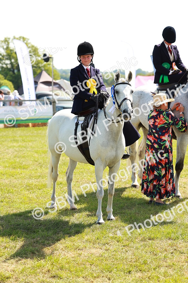 SBM_13263 - Class 70-71 - Side Saddle