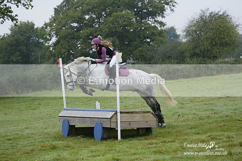 WWHT 171021 0043 - Novice Restricted (0.80m)  17/10/21