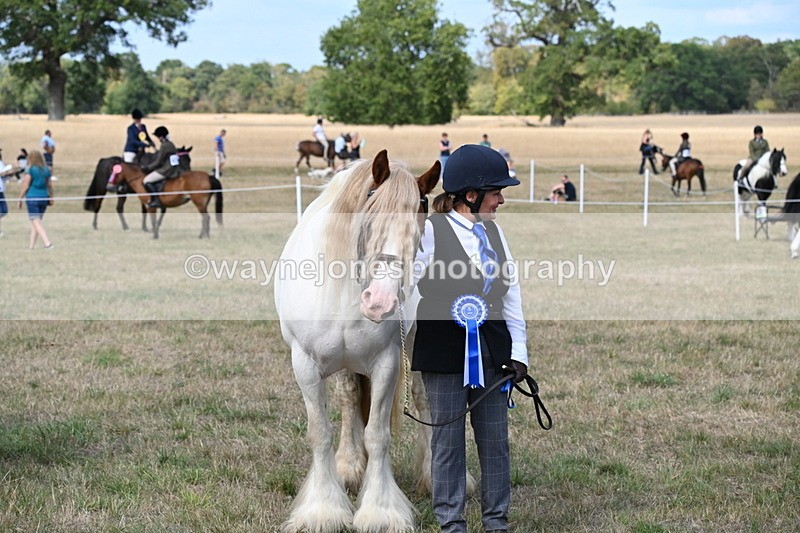WJ6_6751 - Class 20 In-hand Cob