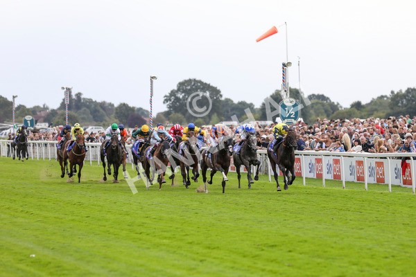 240824-Race 2-Tabletalk-8924 - Race 2 2.25pm Sky Bet Melrose Handicap