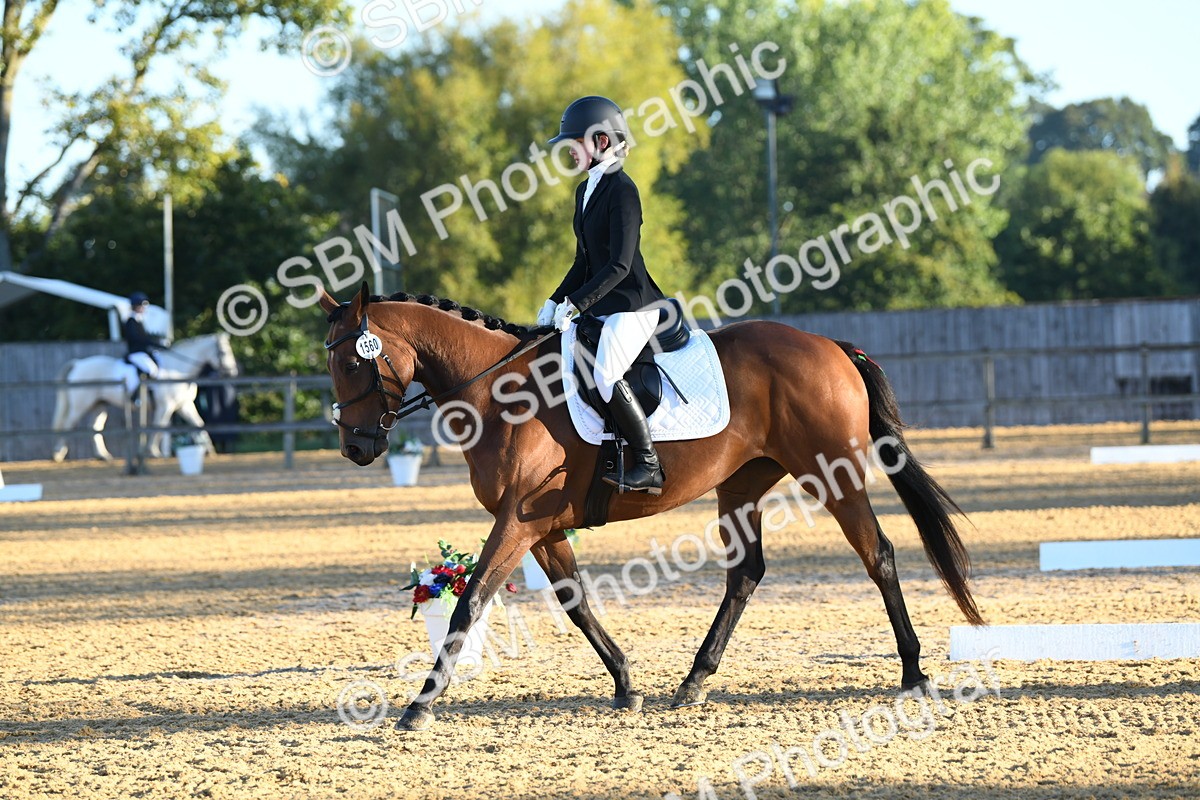 SBM_14241 - D4 - Small Tour Championship - Intro B