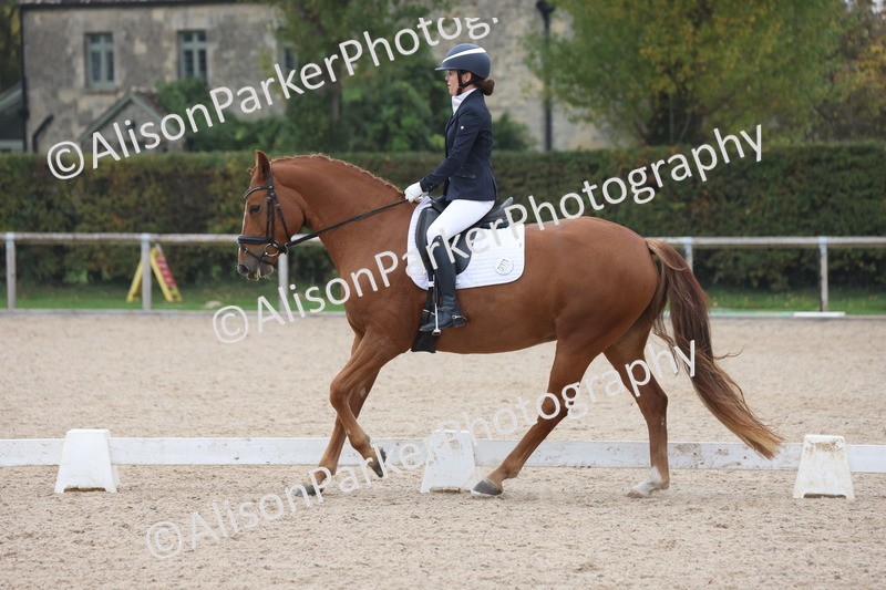 20251012-0669 - Class 5 - Elementary 5