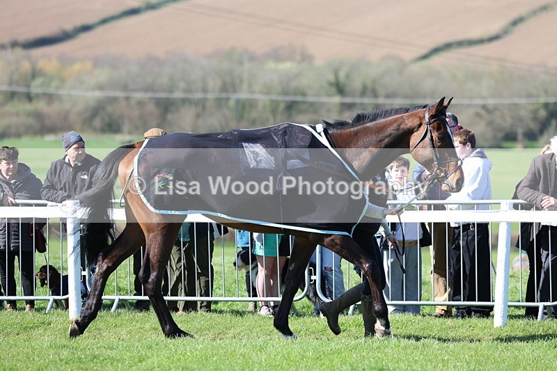 3E7A5626 - Race 6: Maiden (NWFAA)