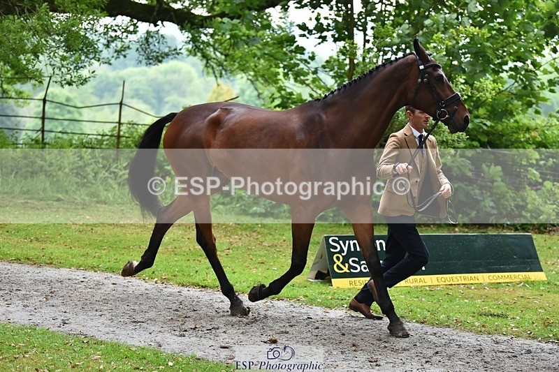 240522-165554-01259 - 262-MY_STAR_TURN-Tom_Jackson